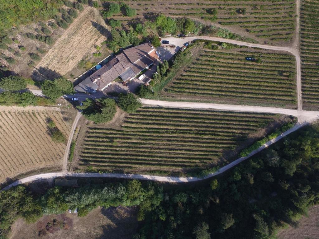 Agriturismo Lucciano San Casciano in Val di Pesa Exterior photo